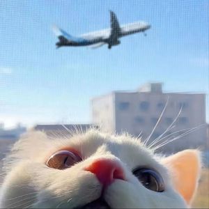 欧美综合偷窥图
